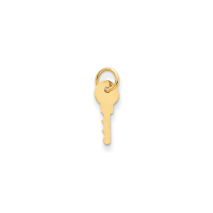 Million Charms 14K Yellow Gold Themed Polished Key Charm